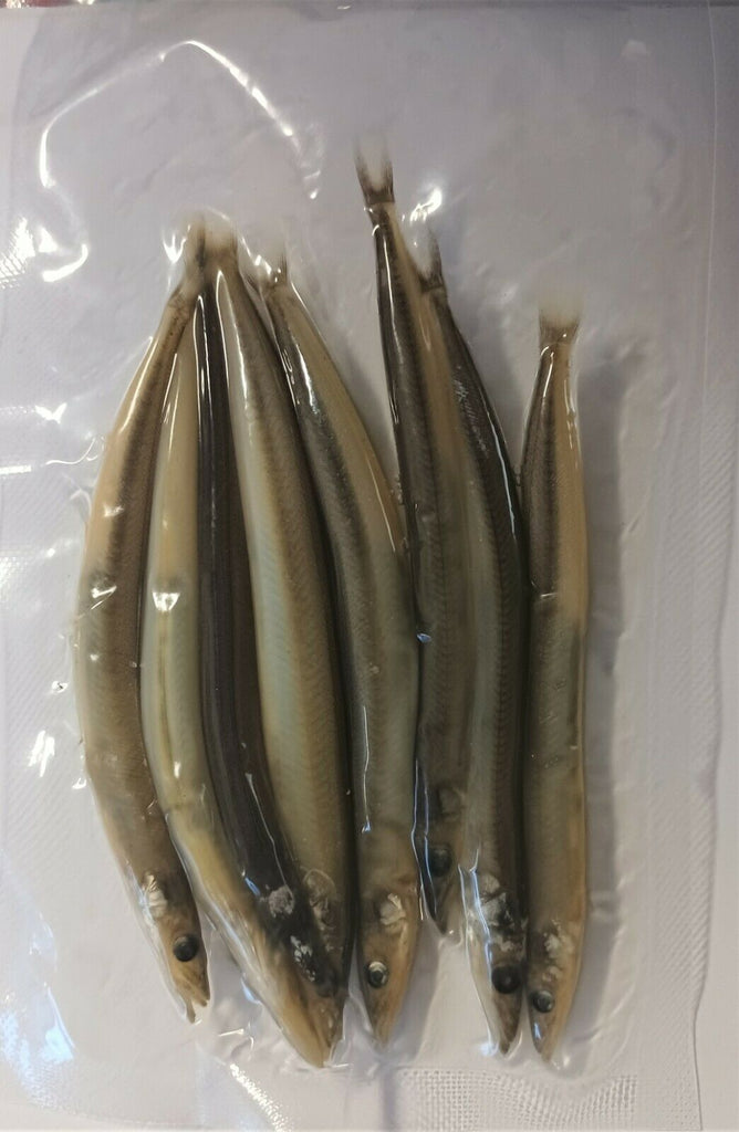 Sandeel Bait - Preserved Sea Fishing Baits for Cod, Mackerel, Pollack, Dogfish