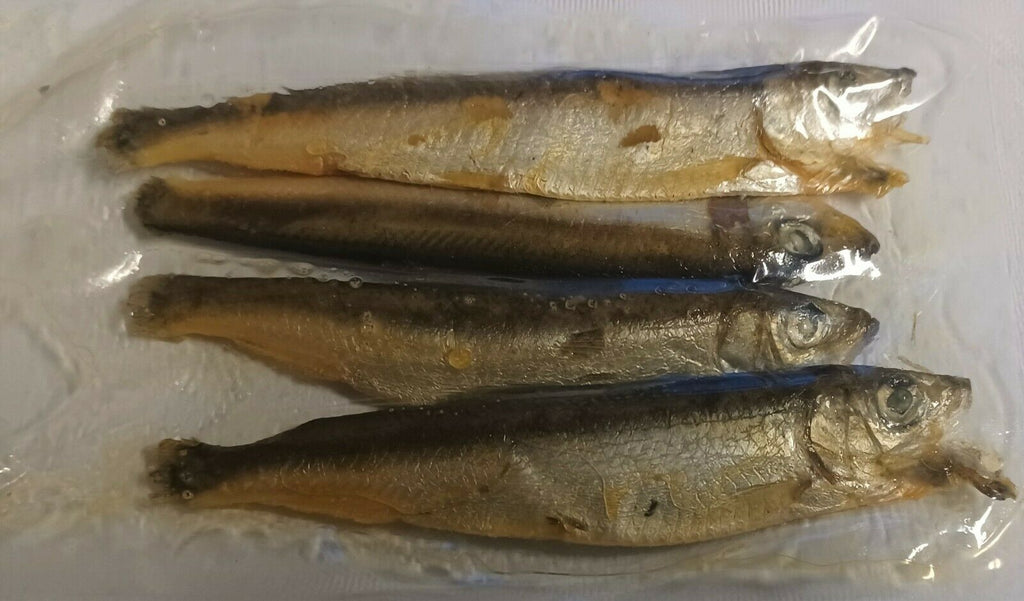 Whitebait - Preserved Sea Fishing Baits for Cod, Mackerel, Pollack, Dogfish